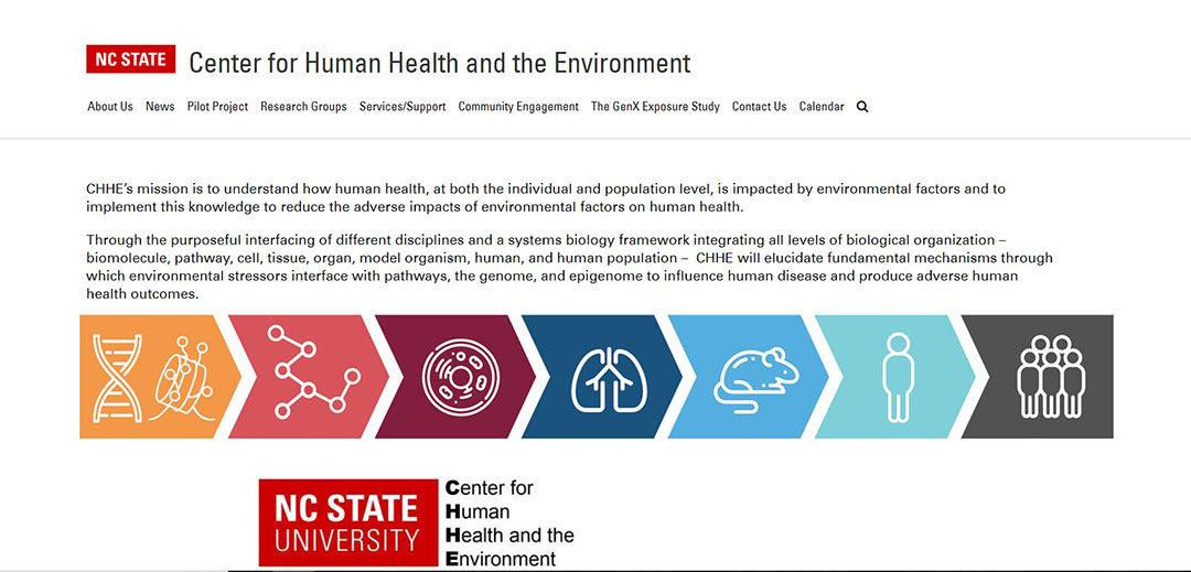 Screenshot of the CHHE homepage before redesign