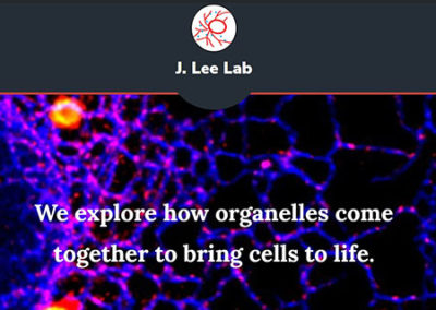 Lee Lab Website