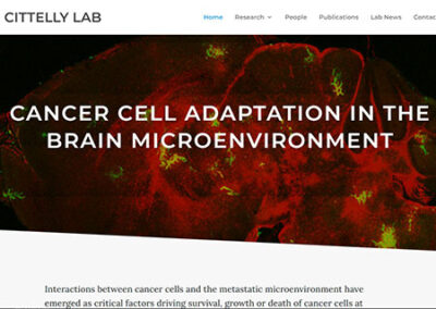 Cittelly Lab Website