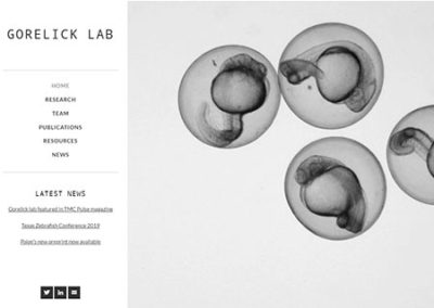 Gorelick Lab Website Redesign