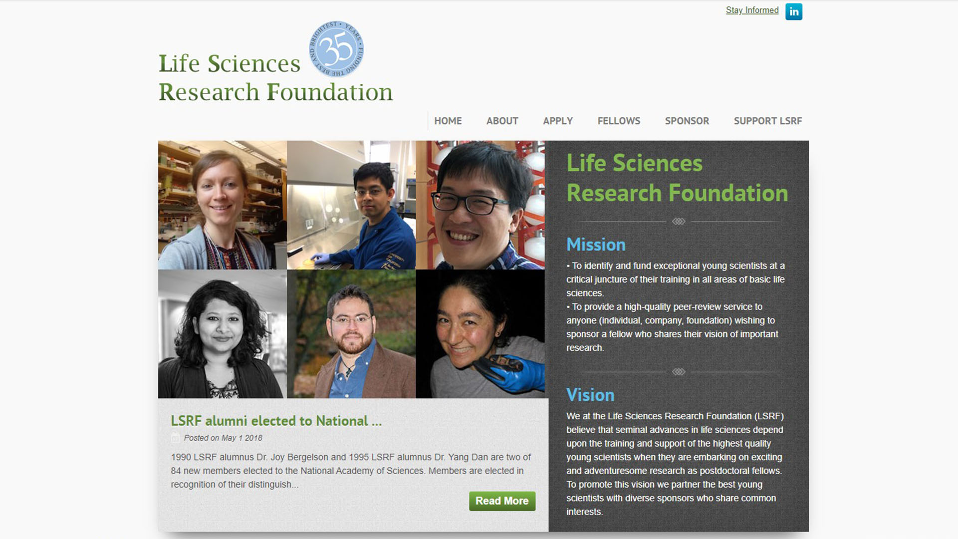 Screenshot of the LSRF website before redesign