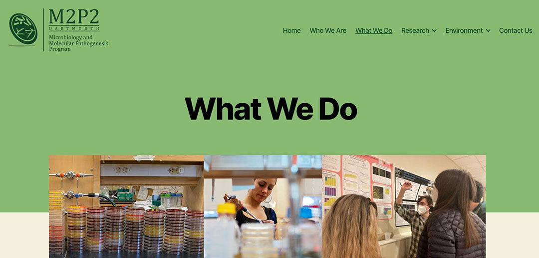 Screenshot of the what we do page on the M2P2 website